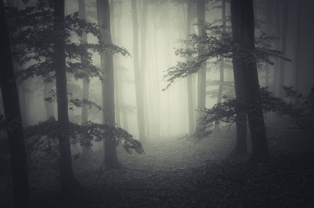 Hacker Halted 2014: The Fog of War can Cloud both Physical and Digital Battlefields