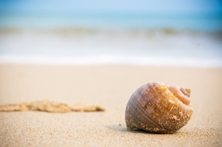 GandCrab Ransomware Finds a New Shell