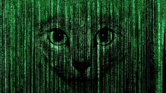 ALPHV/BlackCat Site Downed After Suspected Police Action