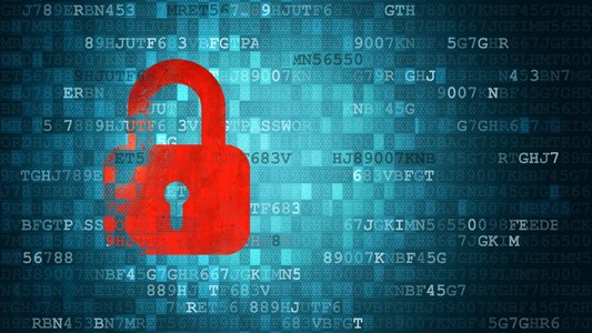 Majority of Critical Open Source Projects Contain Memory Unsafe Code