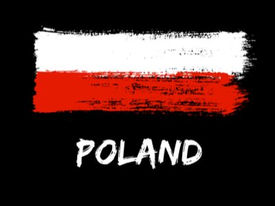 NIS Directive Met, Polish Cybersecurity in Effect