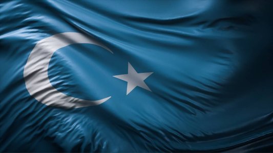 Uyghur Diaspora Group Targeted with Remote Surveillance Malware