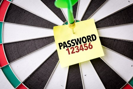 Americans Say Cyber-Attacks Are a Threat But Don't Protect Themselves