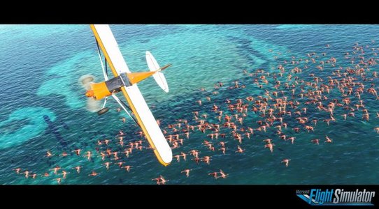 Microsoft Flight Simulator may support real-time ray tracing effects