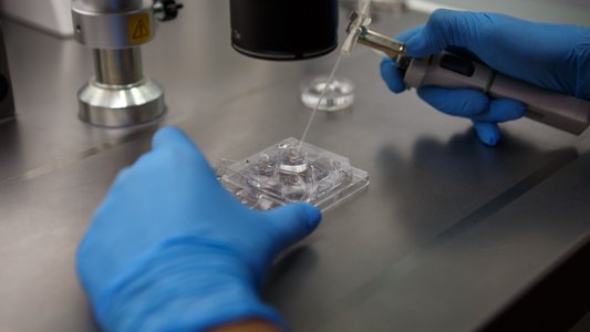 Australian IVF Clinic Suffers Data Breach Following Cyber Incident