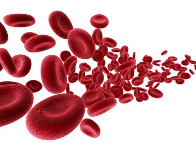 Cord Blood Registry loses unsecured data on 300,000 clients